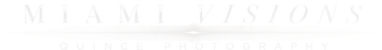 Miami Visions